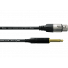 CCM 5 FP