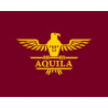 Aquila