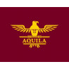 Aquila