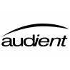 Audient